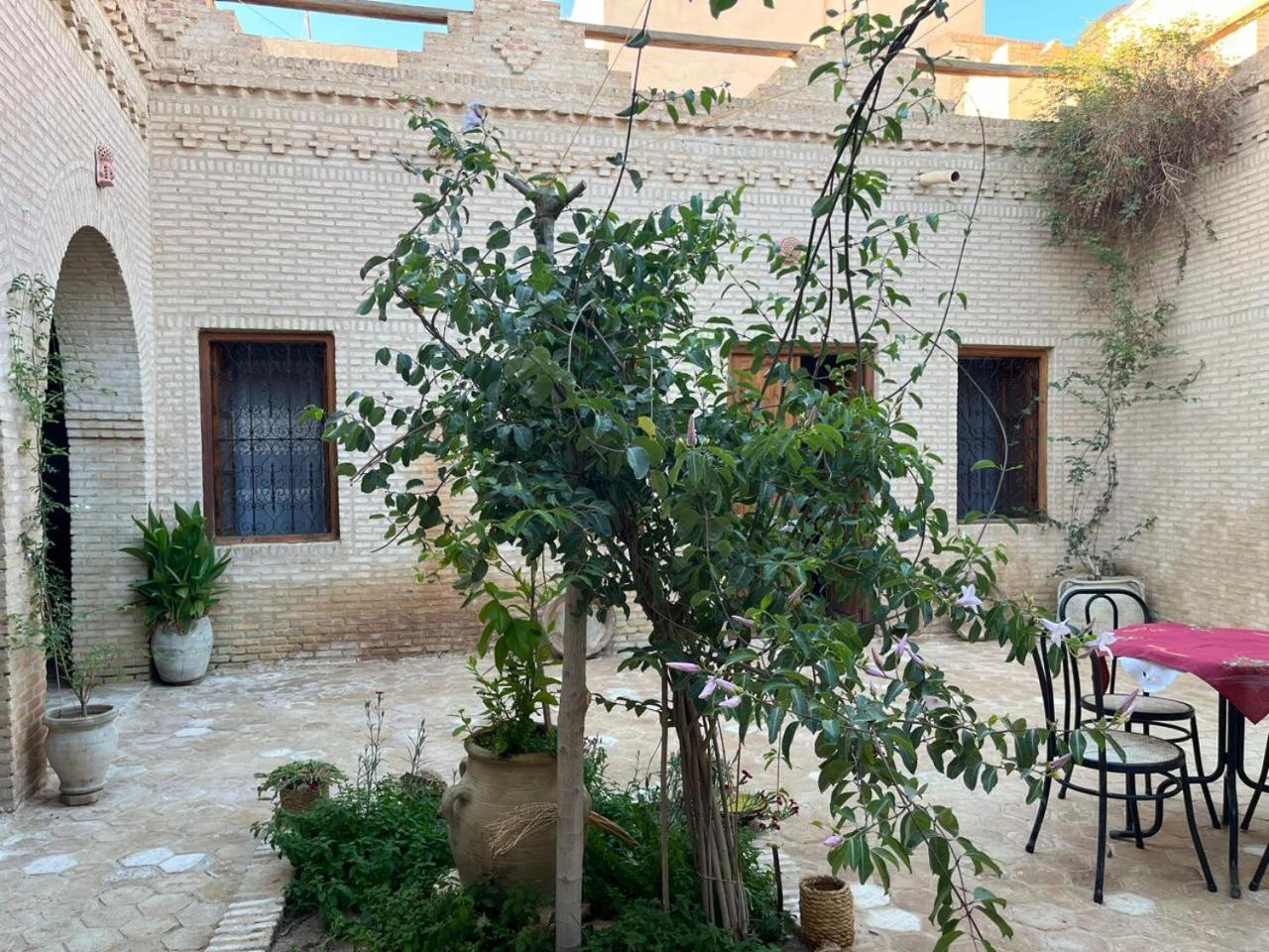 Maison De Vacances "Dar Khalifa" Tuzer Dış mekan fotoğraf